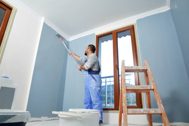 Best Fire-Damaged Drywall Repair  in San Anselmo, CA