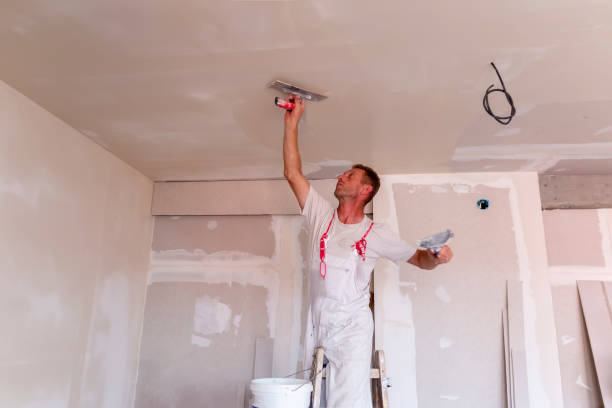 Best Drywall Sanding and Smoothing  in San Anselmo, CA